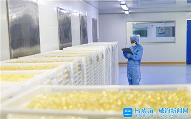 威海黨史史志網(wǎng) 威海要聞 打好“特字牌”,威海各區(qū)市、開發(fā)區(qū)護航先進制造業(yè)突破發(fā)展