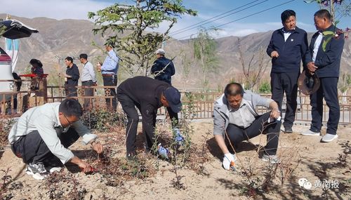黃南州尖扎縣 田間地頭 微課堂 讓黨史學習教育 活起來