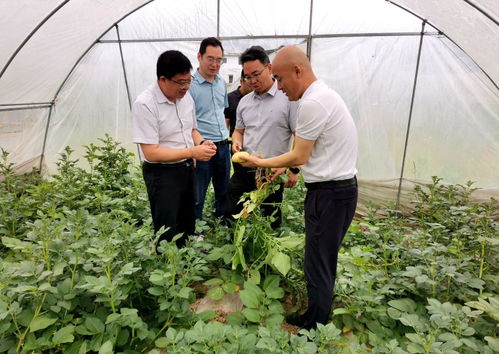 學黨史 辦實事 學校聚焦三門村群眾急難愁盼 助力鄉村振興