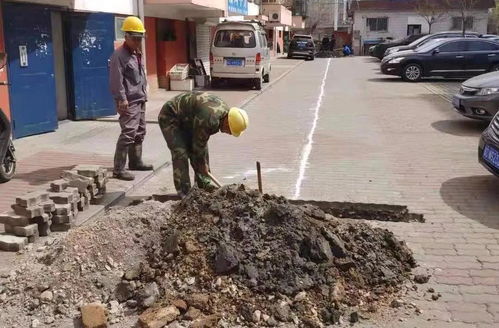 黨史學習見成效 為民辦事出實招